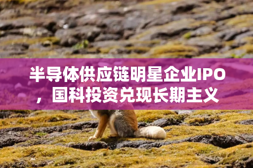 半导体供应链明星企业IPO，国科投资兑现长期主义