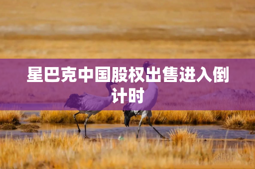 星巴克中国股权出售进入倒计时