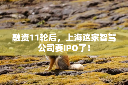 融资11轮后，上海这家智驾公司要IPO了！