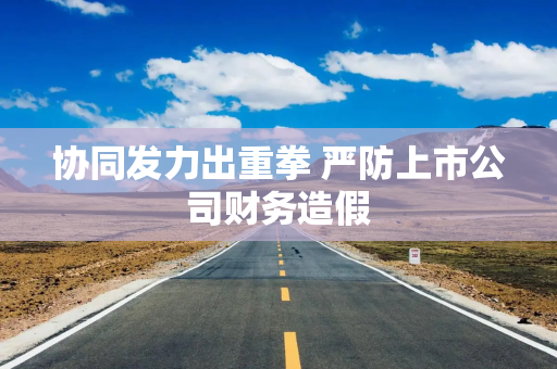 协同发力出重拳 严防上市公司财务造假