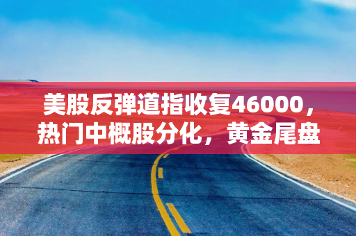 美股反弹道指收复46000，热门中概股分化，黄金尾盘跳水