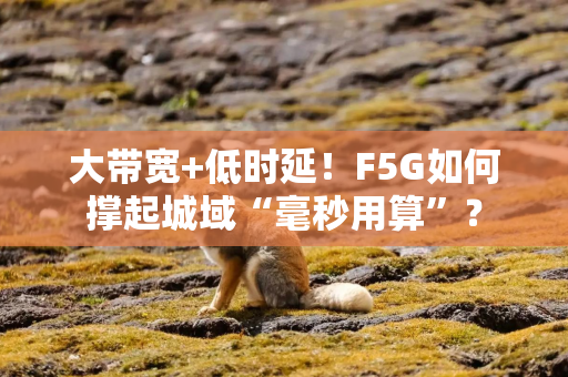 大带宽+低时延！F5G如何撑起城域“毫秒用算”？