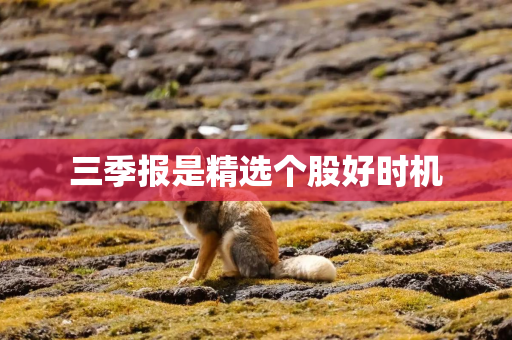 三季报是精选个股好时机