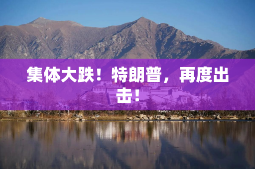 集体大跌！特朗普，再度出击！