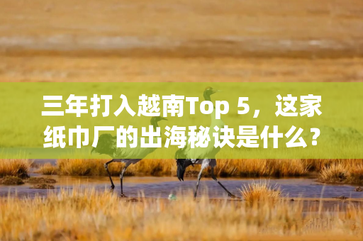 三年打入越南Top 5，这家纸巾厂的出海秘诀是什么？