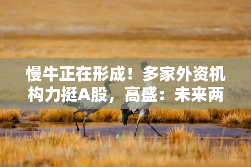 慢牛正在形成！多家外资机构力挺A股，高盛：未来两年有望涨30%