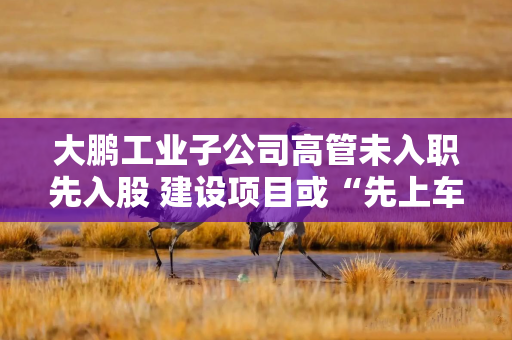 大鹏工业子公司高管未入职先入股 建设项目或“先上车后补票” 大鹏工业子公司高管未入职先入股 建设项目或“先上车后补票”