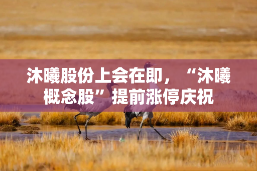 沐曦股份上会在即，“沐曦概念股”提前涨停庆祝