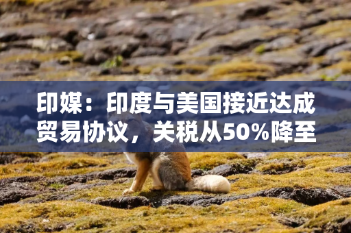 印媒:印度与美国接近达成贸易协议,关税从50%降至15% 印媒:印度与美国接近达成贸易协议,关税从50%降至15%