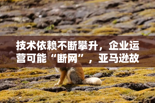 技术依赖不断攀升,企业运营可能“断网”,亚马逊故障暴露云服务风险 技术依赖不断攀升,企业运营可能“断网”,亚马逊故障暴露云服务风险