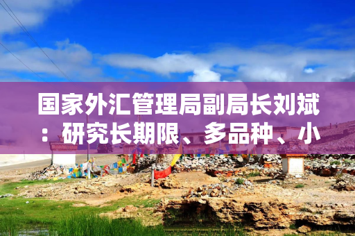 国家外汇管理局副局长刘斌：研究长期限、多品种、小币种等外汇市场发展问题｜2025外滩年会