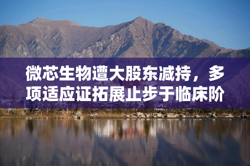 微芯生物遭大股东减持,多项适应证拓展止步于临床阶段,盈利不佳下拟定增续命研发 微芯生物遭大股东减持,多项适应证拓展止步于临床阶段,盈利不佳下拟定增续命研发