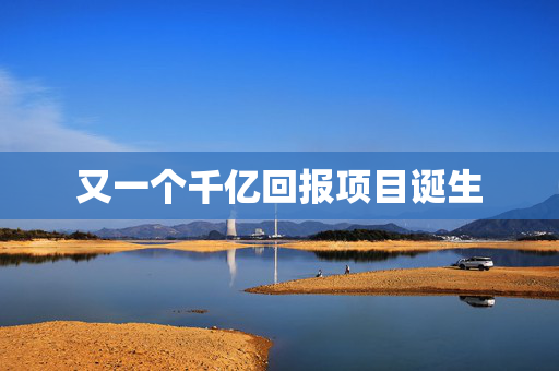 又一个千亿回报项目诞生