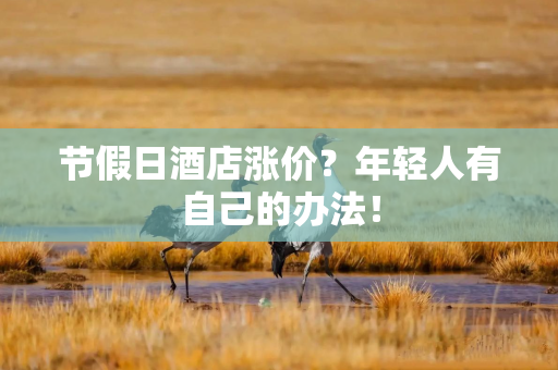 节假日酒店涨价？年轻人有自己的办法！