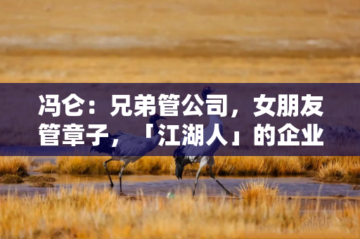 冯仑：兄弟管公司，女朋友管章子，「江湖人」的企业往往都死得快