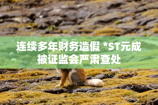 连续多年财务造假 *ST元成被证监会严肃查处