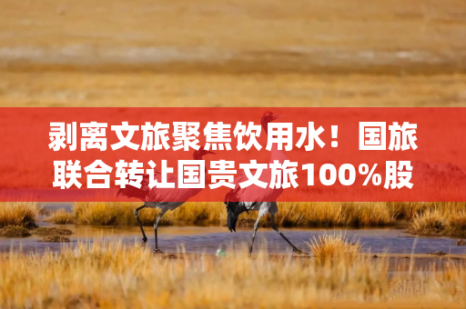 剥离文旅聚焦饮用水！国旅联合转让国贵文旅100%股权，拟30亿收购润田实业