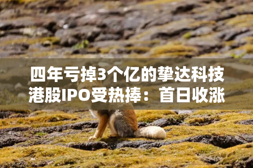 四年亏掉3个亿的挚达科技港股IPO受热捧：首日收涨192% 市值破百亿