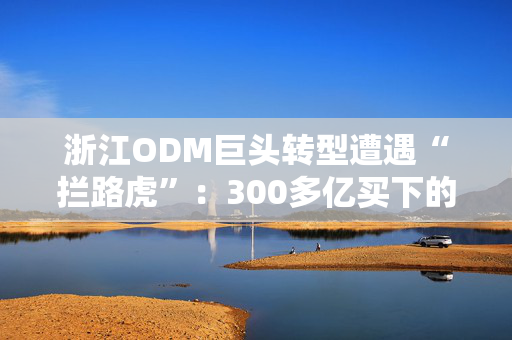浙江ODM巨头转型遭遇“拦路虎”：300多亿买下的安世，遭荷兰冻结