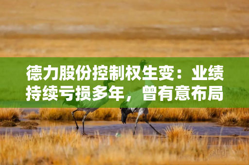 德力股份控制权生变：业绩持续亏损多年，曾有意布局网络游戏
