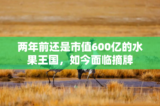两年前还是市值600亿的水果王国，如今面临摘牌