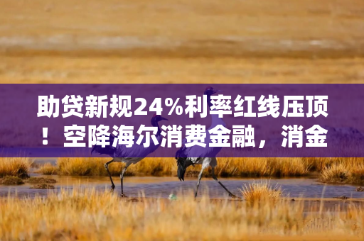 助贷新规24%利率红线压顶！空降海尔消费金融，消金老将周文龙如何破局