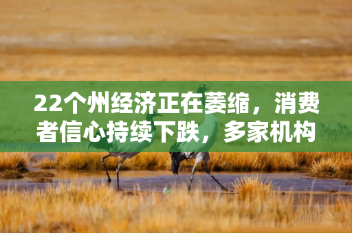22个州经济正在萎缩，消费者信心持续下跌，多家机构警告美国经济衰退