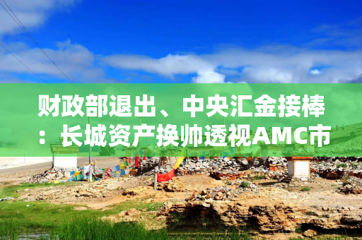 财政部退出、中央汇金接棒：长城资产换帅透视AMC市场化改革深水区