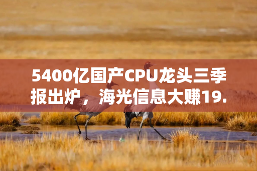 5400亿国产CPU龙头三季报出炉，海光信息大赚19.6亿！近一年股价已近翻倍