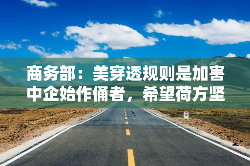 商务部：美穿透规则是加害中企始作俑者，希望荷方坚持独立自主