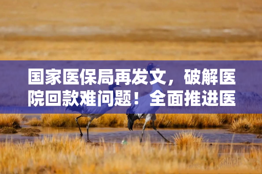 国家医保局再发文，破解医院回款难问题！全面推进医保基金即时结算