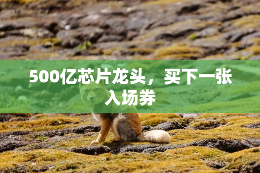 500亿芯片龙头，买下一张入场券