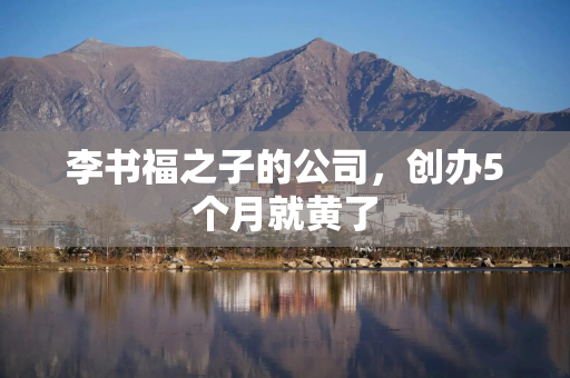 李书福之子的公司,创办5个月就黄了 李书福之子的公司,创办5个月就黄了