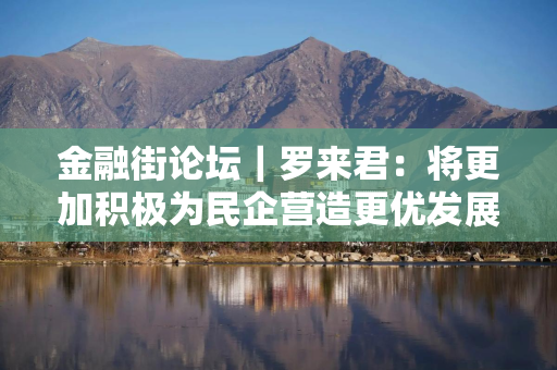 金融街论坛｜罗来君：将更加积极为民企营造更优发展环境