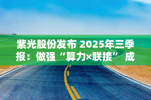 紫光股份发布 2025年三季报:做强“算力×联接” 成就强劲高增长 紫光股份发布 2025年三季报:做强“算力×联接” 成就强劲高增长