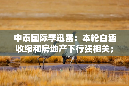 中泰国际李迅雷：本轮白酒收缩和房地产下行强相关；白酒主力消费人群已减少2800万