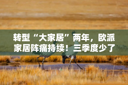 转型“大家居”两年，欧派家居阵痛持续！三季度少了229家门店，净利润创5年新低