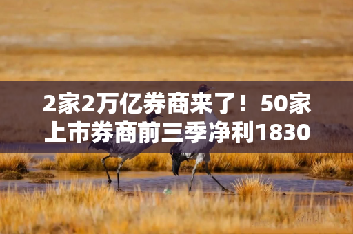 2家2万亿券商来了!50家上市券商前三季净利1830亿,中信证券创新高 2家2万亿券商来了!50家上市券商前三季净利1830亿,中信证券创新高