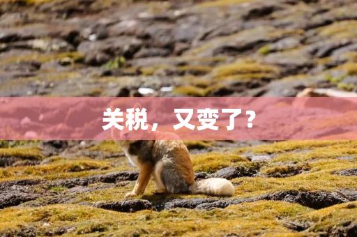 关税,又变了? 关税,又变了?