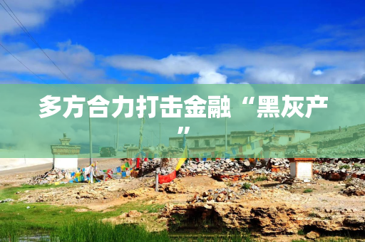 多方合力打击金融“黑灰产” 多方合力打击金融“黑灰产”