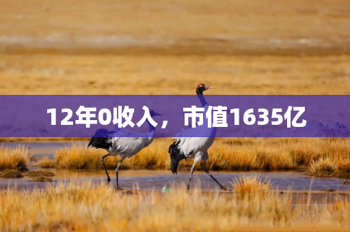 12年0收入，市值1635亿