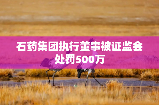 石药集团执行董事被证监会处罚500万