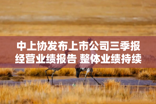 中上协发布上市公司三季报经营业绩报告 整体业绩持续改善 含“科”量进一步提高 中上协发布上市公司三季报经营业绩报告 整体业绩持续改善 含“科”量进一步提高