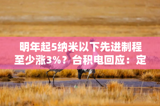 明年起5纳米以下先进制程至少涨3%？台积电回应：定价策略不以机会导向
