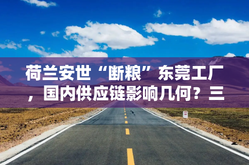 荷兰安世“断粮”东莞工厂，国内供应链影响几何？三家上市公司代理商回应来了⋯⋯