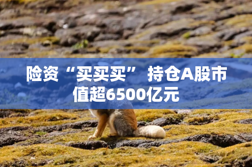 险资“买买买” 持仓A股市值超6500亿元