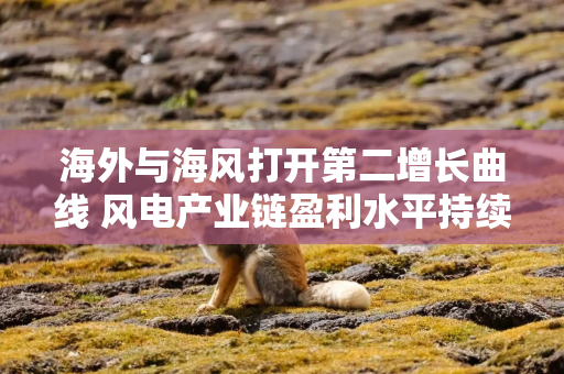 海外与海风打开第二增长曲线 风电产业链盈利水平持续提升 海外与海风打开第二增长曲线 风电产业链盈利水平持续提升