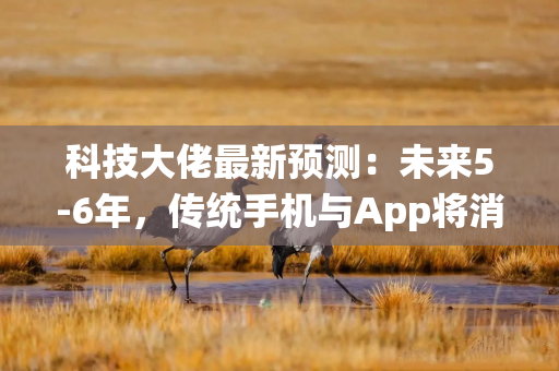 科技大佬最新预测：未来5-6年，传统手机与App将消失