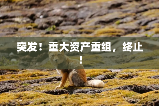 突发！重大资产重组，终止！