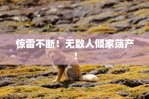 惊雷不断！无数人倾家荡产！